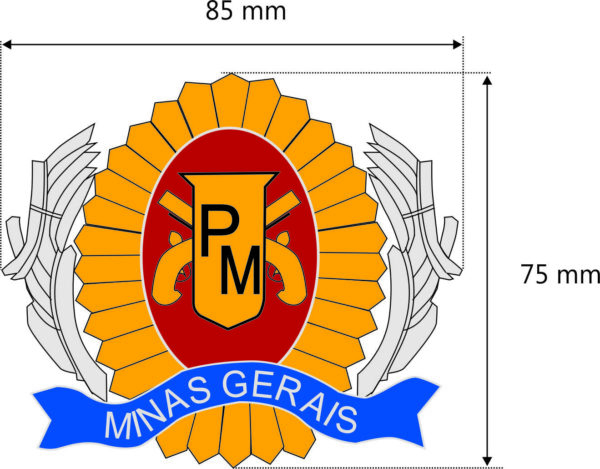 FLORÃO PARA QUEPE SGT PMMG - Image 2